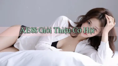 ae88  giới thiệu cơ hội