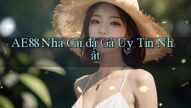 ae88  nhà cái đá gà uy tín nhất