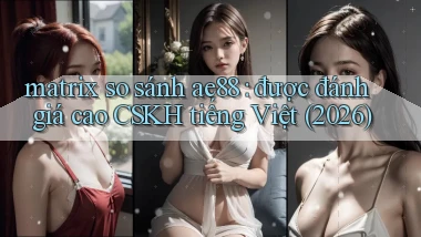 matrix so sánh ae88 được đánh giá cao CSKH tiếng Việt (2026)