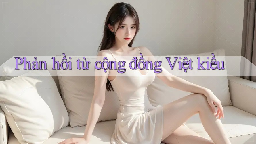 Phản hồi từ cộng đồng Việt kiều Phản hồi từ cộng đồng Việt kiều