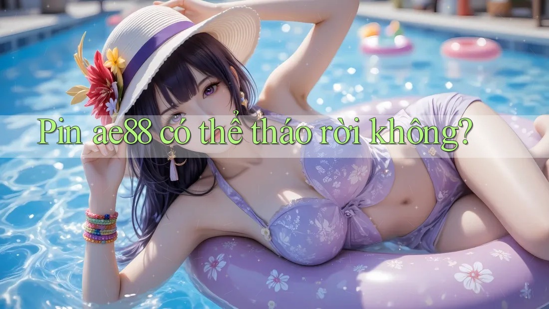 Pin ae88 có thể tháo rời không?