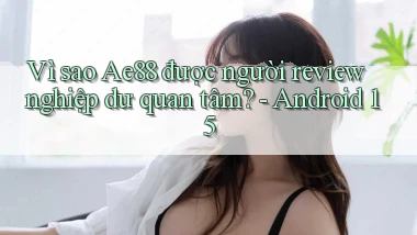 Vì sao Ae88 được người review nghiệp dư quan tâm   Android 15